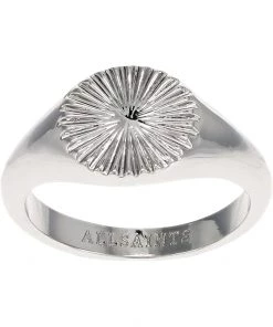 Best Sale 🎁 AllSaints Textured Fan Round Signet Ring | Rings 👏 -AllSaints Sales Store 61T2KN1eL. AC SR736920